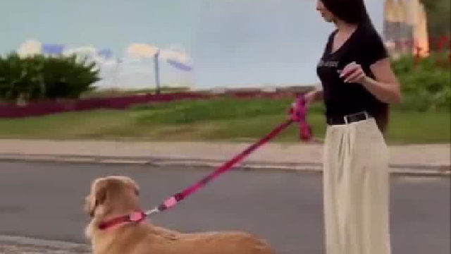 世上还是好人多啊，狗屎都抢着帮忙丢，终究还是我看错了世界  ​