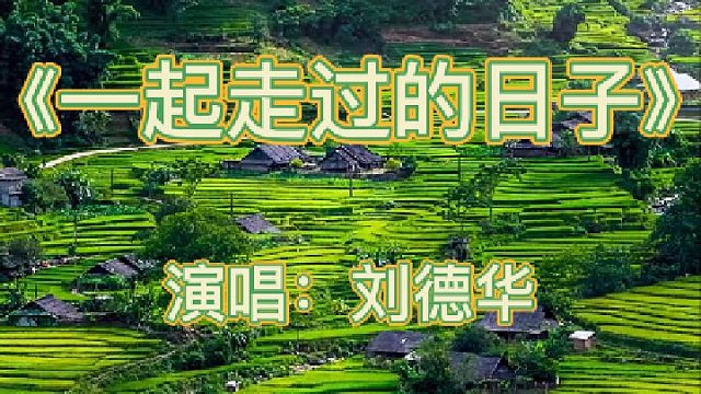 进入博主作品，点击首个视频，查看如何免费领取谐音辅助学习教程