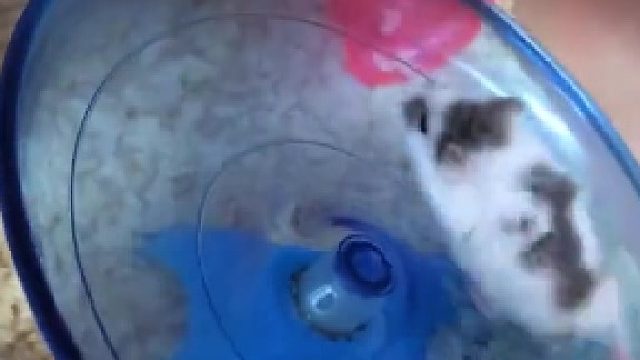 是兄弟就一起来玩啊