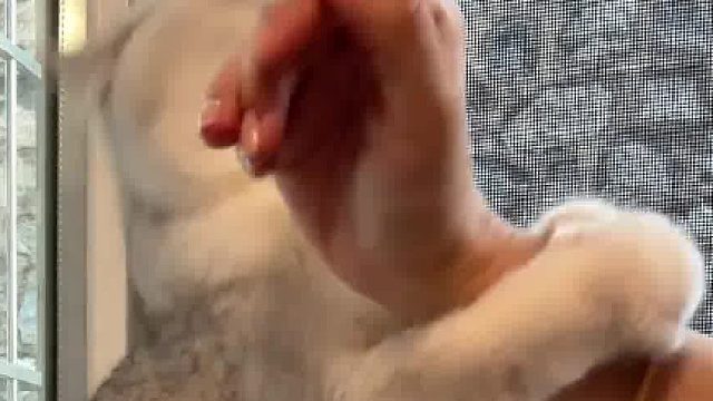 猫：你看你又暴躁