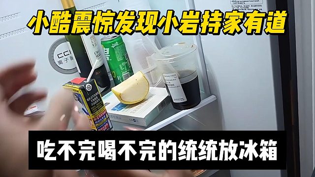 小酷震惊发现小岩持家有道，吃不完喝不完的统统放冰箱