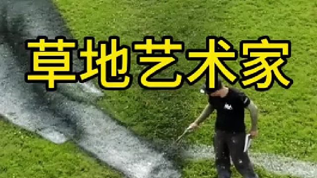 国外男子以大地作画，简直太牛了！