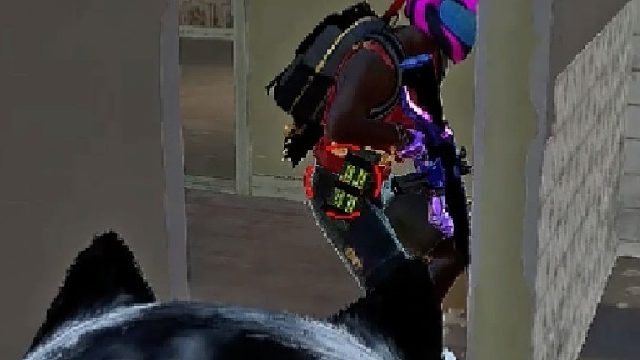 哈哈嗨，我又来了啊