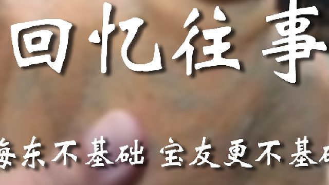 这届网友还是比上届乘