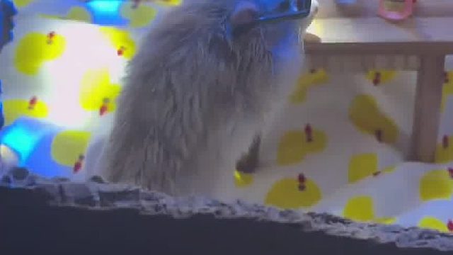 我是房间怎么有dj声