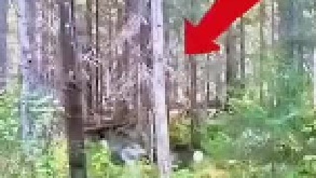 这时候要是卡壳了怎么办？