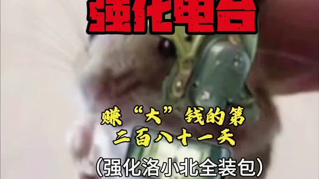 超级性价比的洛小北强化包终于推出