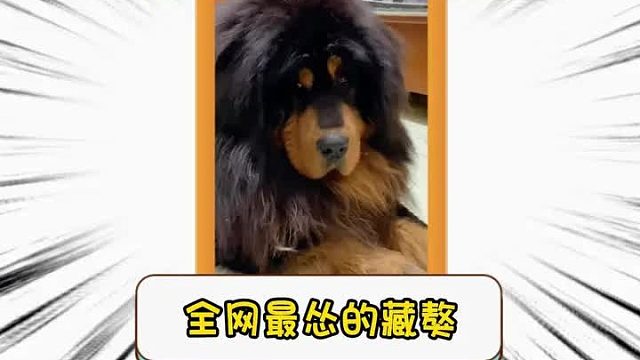 第二百二十七集I加布：我实在太难了