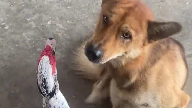 从百草园C到三味书屋