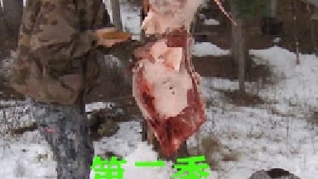 山地硬汉09：放生游隼，抓捕海狸