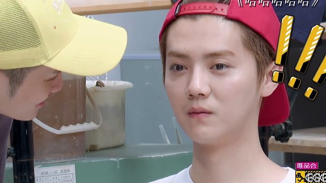 王勉意外抢镜，陈赫鹿晗当写生模特计划泡汤啦！