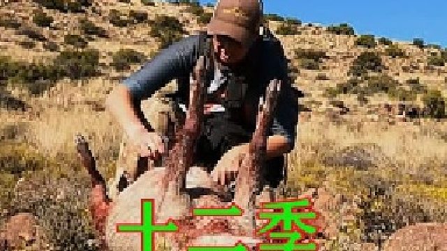 荒野独居第十二季10：最后的冠军