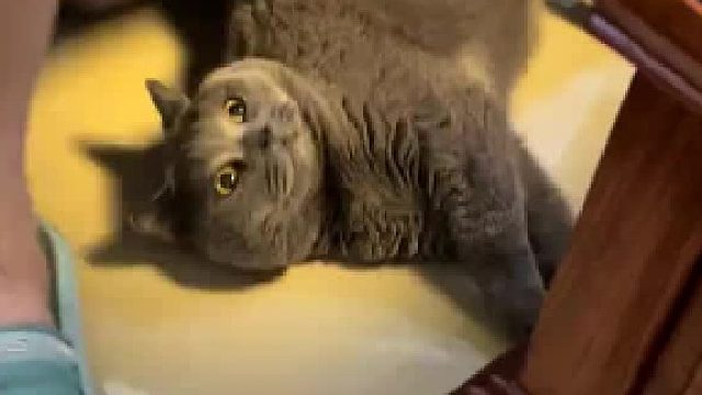 你抹你的，我睡我的，怕归怕我就是不走