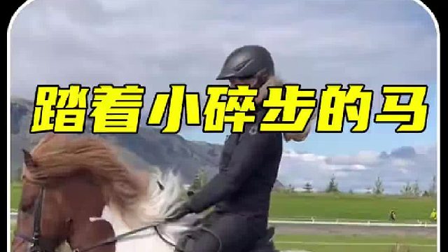 不要小看这跑起来抽象的马，它不是普通的马