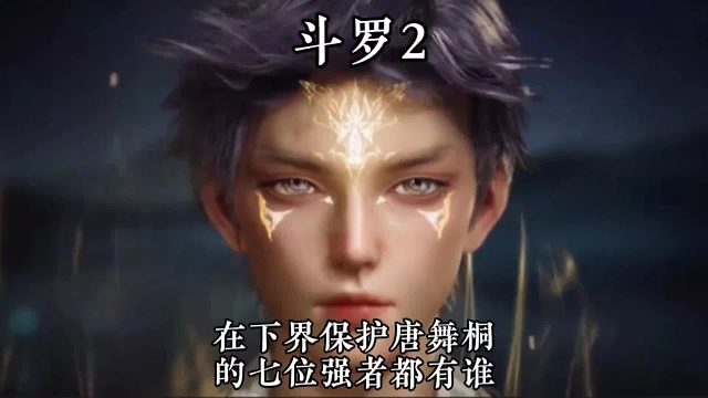在下界保护唐舞桐的七位强者最后两位就连神王唐三都自愧不如
