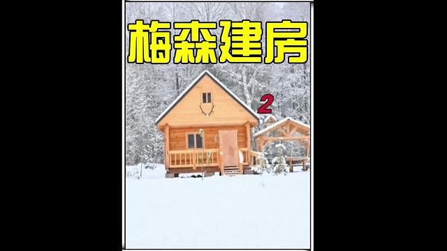男人仅凭一己之力耗费两年半时间在丛林深处打造一座精美的小木屋