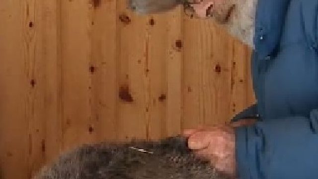 山地硬汉04：诱捕毛皮，狩猎驯鹿和山羊