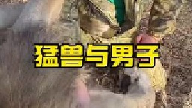 猛兽雄狮与男子零距离接触