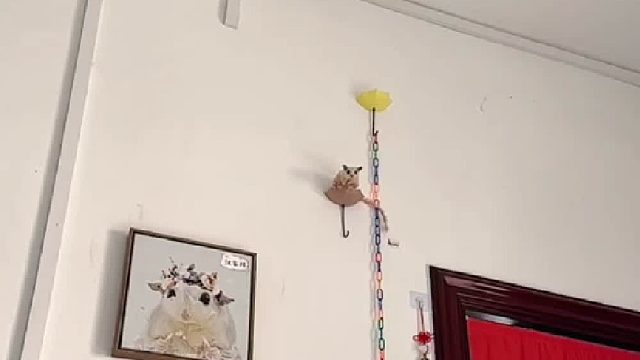 这种感觉，只有养小蜜的人才会懂吧