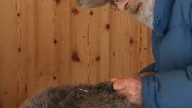 山地硬汉02：汤姆的打猎日常和抵御野兽