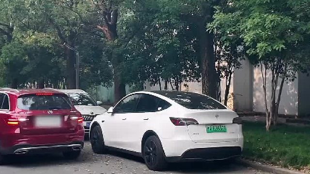 奔腾小马蟹行模式抢车位 看呆德系男车主…