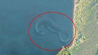 谷歌地球驚現(xiàn)7大深海巨怪