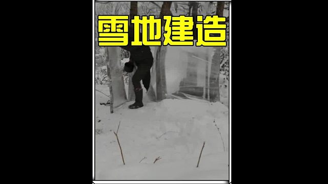 只需一卷保鲜膜，便能完美解决野外居住问题