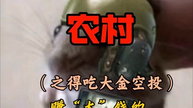 大金争夺玩什么套装