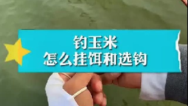 怎么挂饵和选钩！