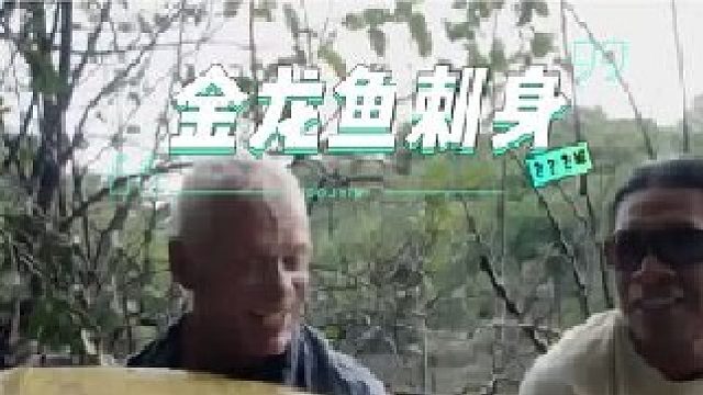 刚捕捞上来的金龙鱼就要立即将其坚硬的鱼鳞给去除，然后把鱼肉直接切成小块做成生鱼片