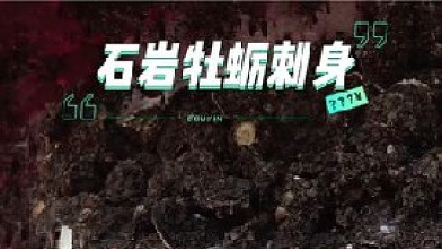 生长在船底里的未必都是寄生物，也有可能是不可多得的美味