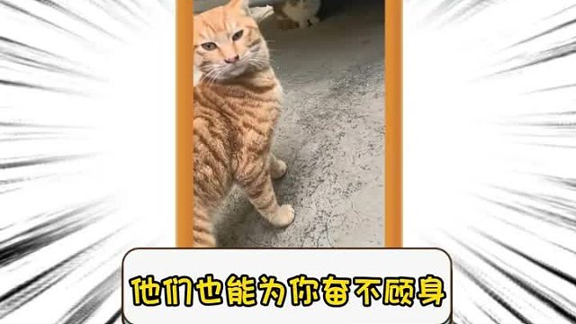 第二百零九集I他们也能为你奋不顾身