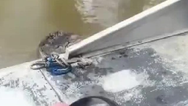 鳄鱼想爬上船，被男子一巴掌拍下！！！