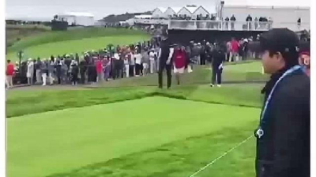 快乐就是那么简单