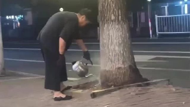 老太用滚烫开水浇银杏树