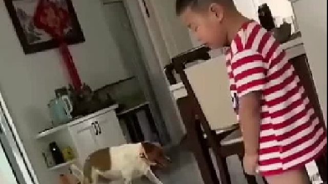 小男孩被罚站，身旁小狗举动逗得人忍俊不禁