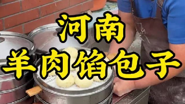 河南街头七元十个的羊肉包子，阿姨说她做了四十年了，老味道老手艺！