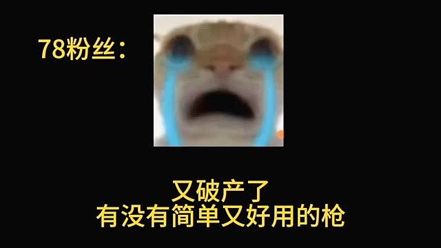 又破产了有没有简单又好用的枪