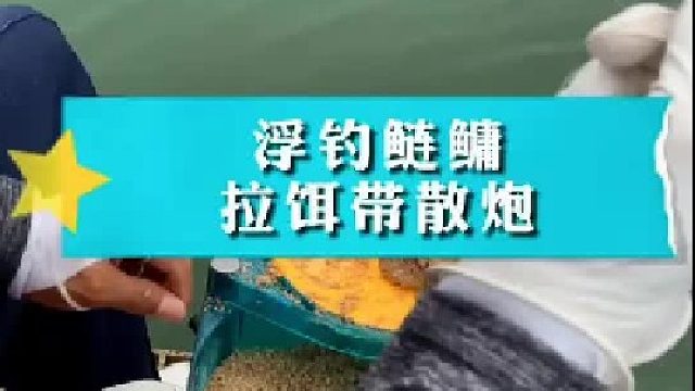 浮钓鲢鳙拉饵带散炮