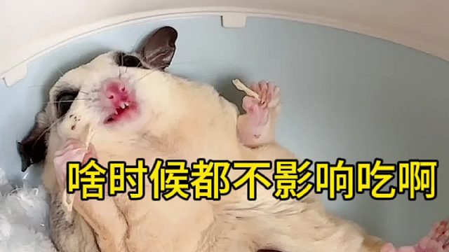 干啥都越不耽误吃啊