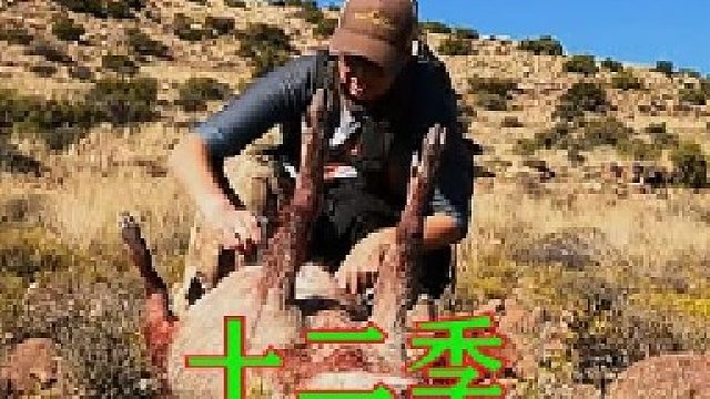 荒野独居第十二季02：剩下的五位选手出场