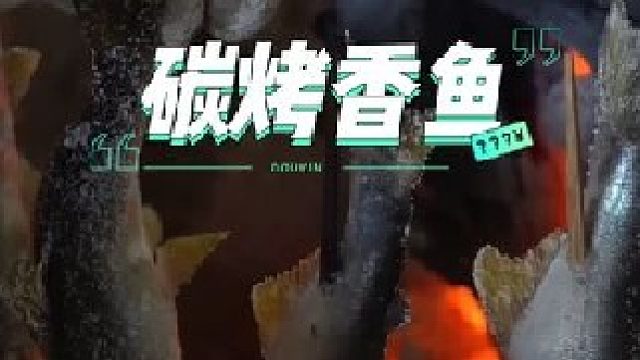 这是我见过最干净的一种淡水鱼，直接串起用来碳烤
