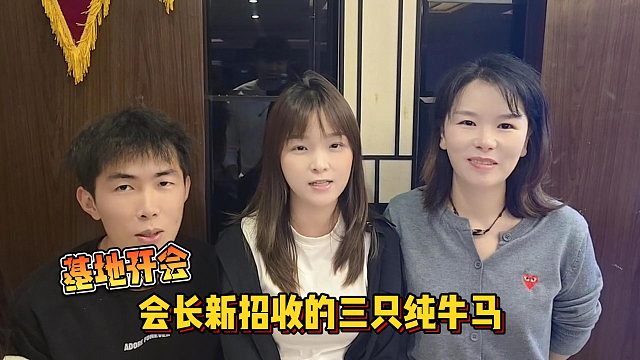 【集梦会长】基地开会会长新招收的三只纯牛马