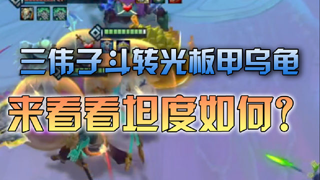 三伟子斗转光板甲乌龟