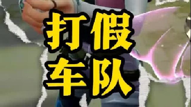 哎 想当年我也是被打假过的