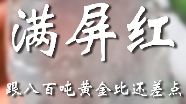 这大哥真有点东西