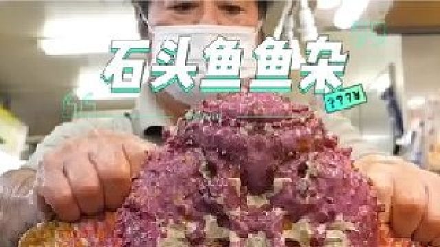 刚捕捞上来的石头鱼就被师傅快速的剪掉带毒的背刺，然后只挑选鱼杂进行白灼