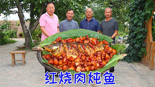 都說紅燒肉和鯉魚一起燉能香掉眉毛，今天燉一鍋，這味道果然攢勁