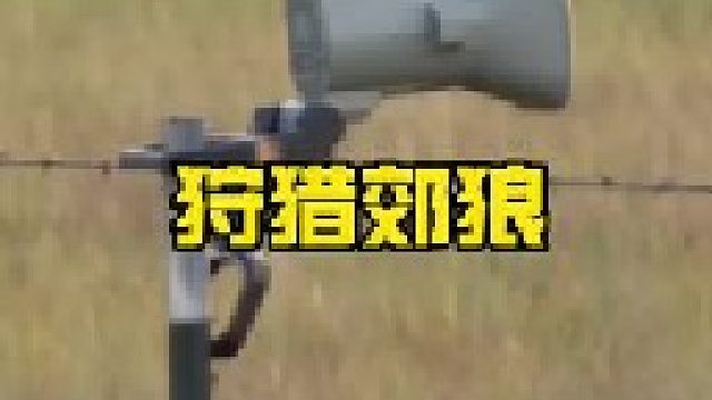 清理牧场附近偷吃牛羊的郊狼