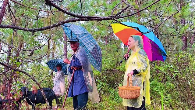 媳妇一个人去深山，看见两个老男人，鼓起勇气打招呼